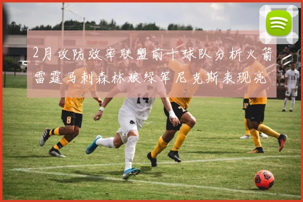 2月攻防效率联盟前十球队分析火箭雷霆马刺森林狼绿军尼克斯表现亮眼
