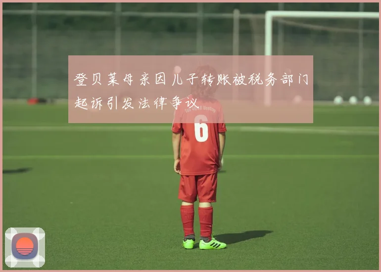登贝莱母亲因儿子转账被税务部门起诉引发法律争议