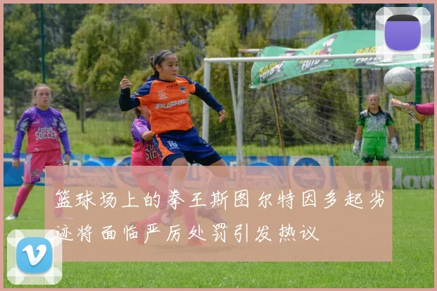 篮球场上的拳王斯图尔特因多起劣迹将面临严厉处罚引发热议